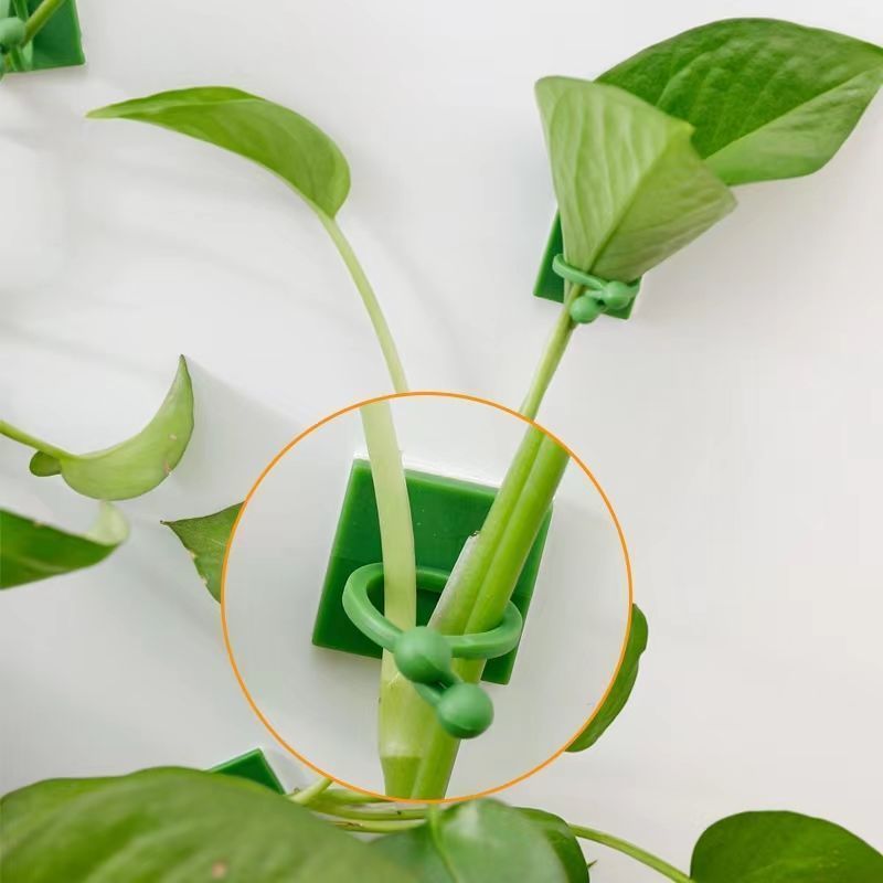 Selbstklebende Pflanzen-Klette – Indoor Herb Garden Bewertung und Preis