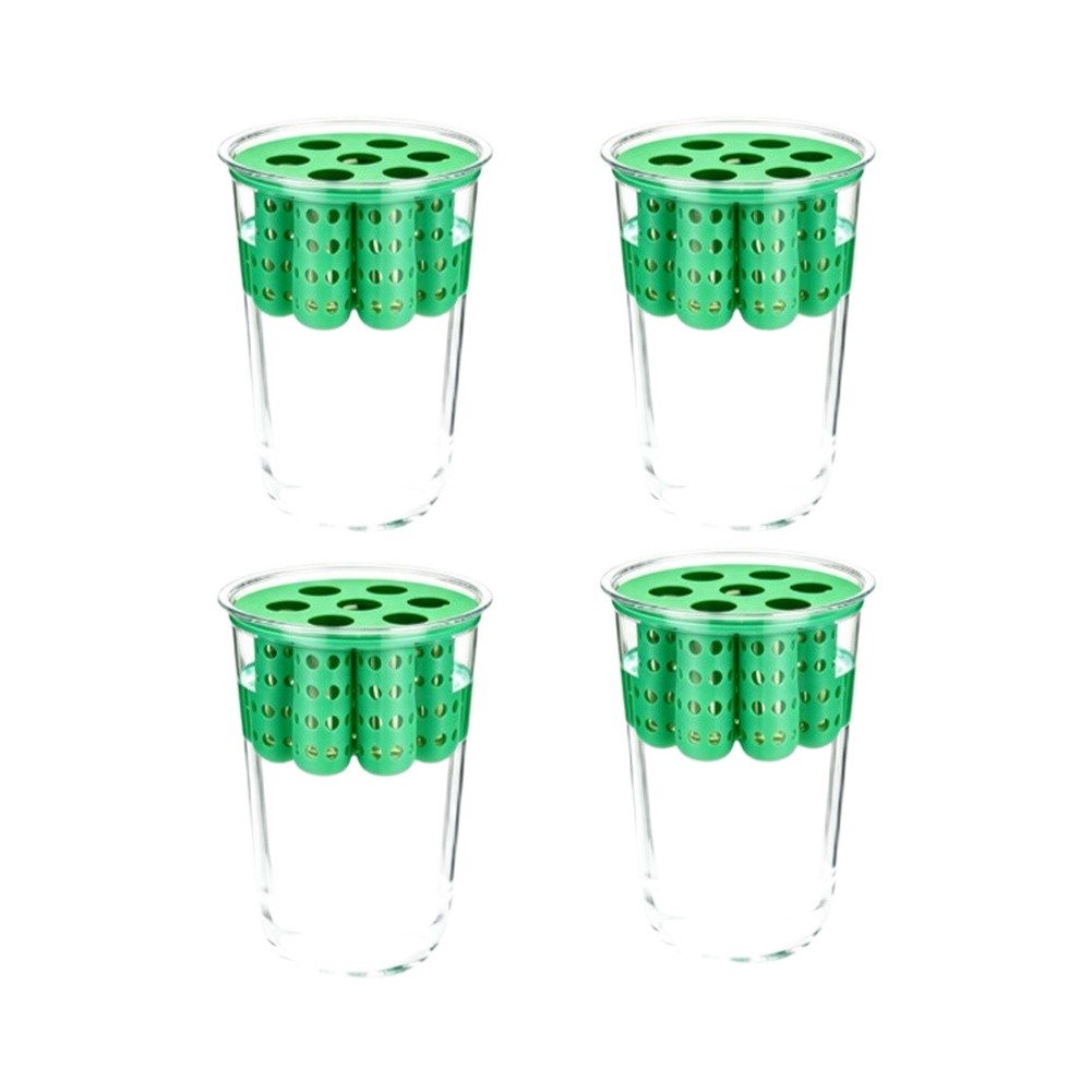 4 Stück Grüne-Zwiebel-Nachzuch – Hydroponic Kit Bewertung und Preis