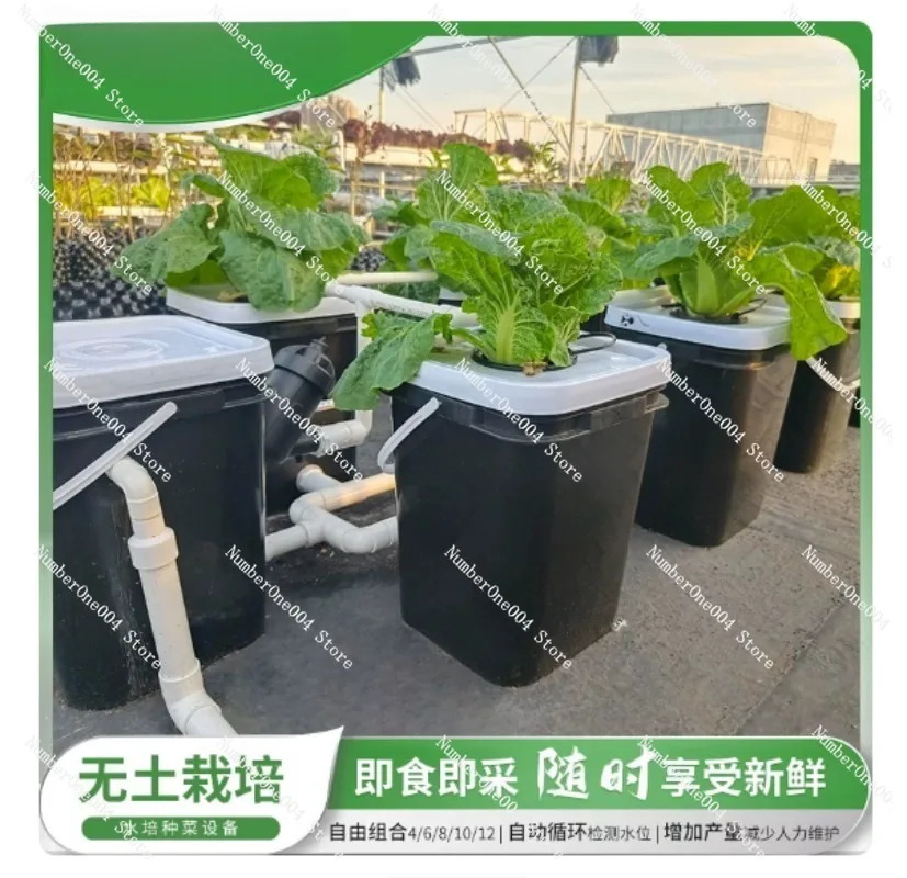 RDWC Heim-Balkon Hydroponik-An – Hydroponic Kit Bewertung und Preis