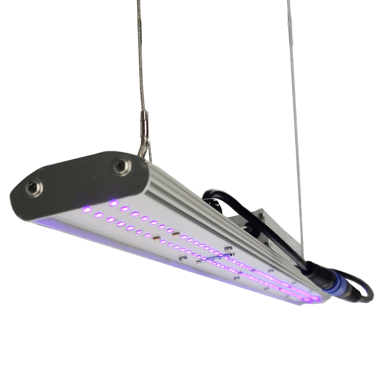 DANSE LED Manueller Dimmer LED – Grow Light Led Bewertung und Preis