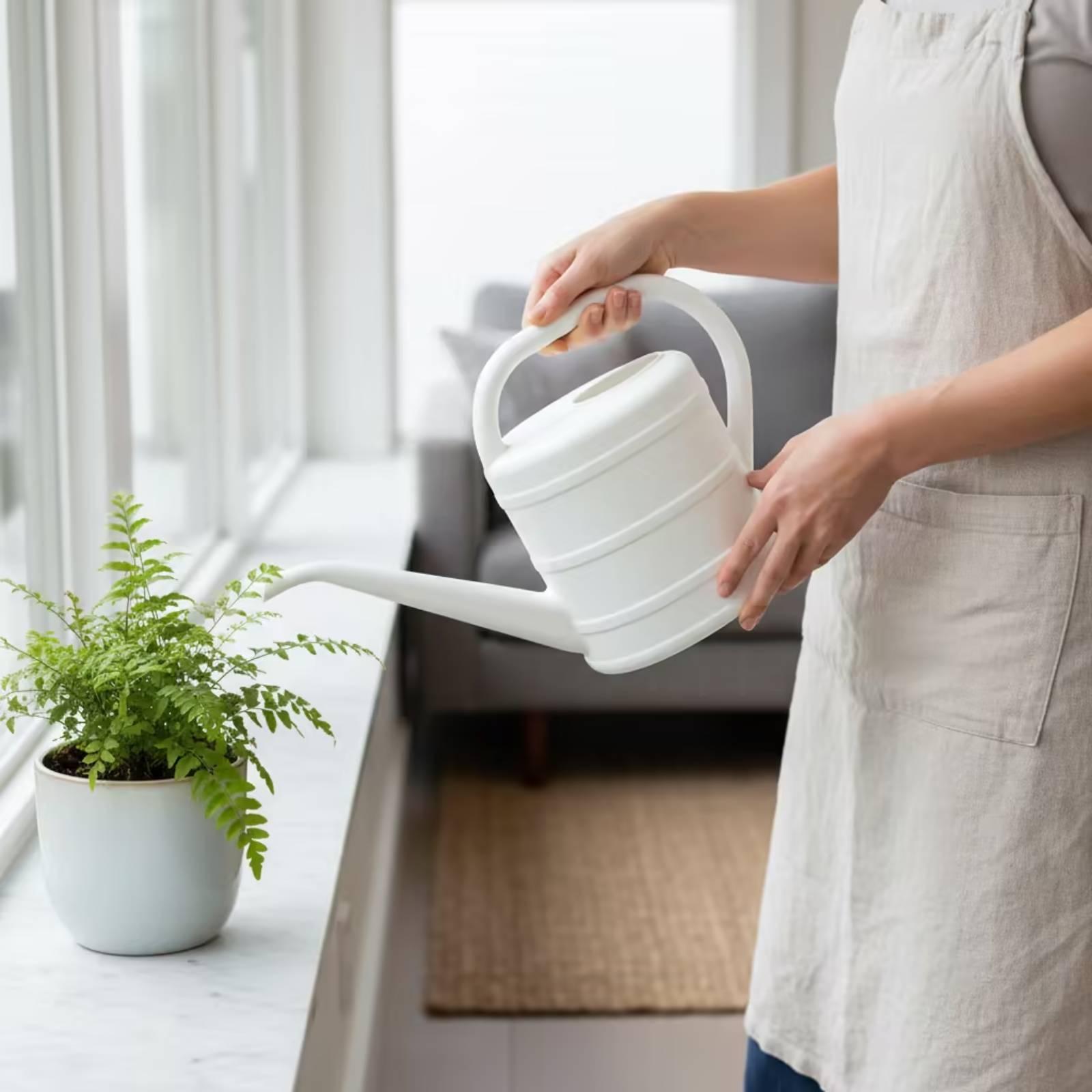 Gießkanne mit langem Ausguss,  – Watering Can Bewertung und Preis