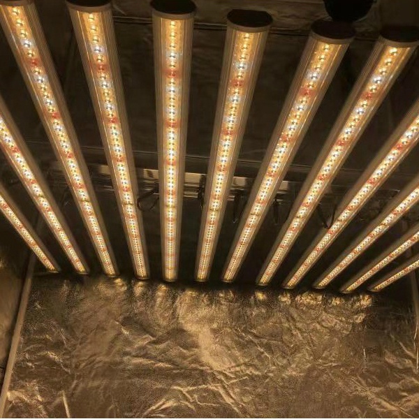 LUX China Fabrik LED Pflanzenb – Grow Light Led Bewertung und Preis