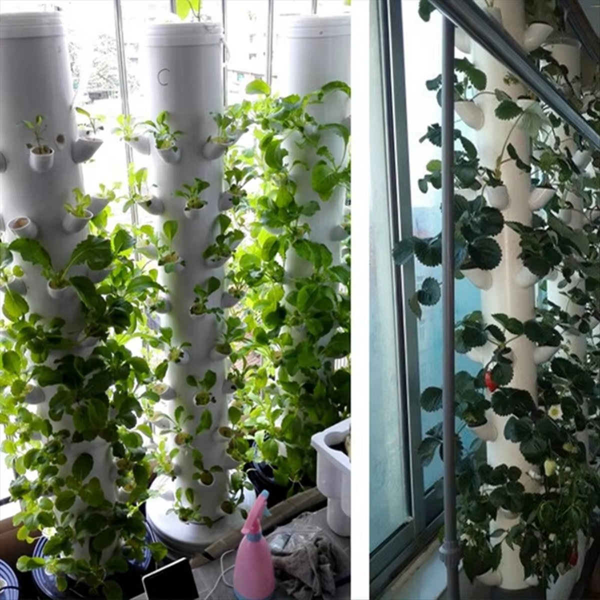 Hydroponischer Vertikaler Turm – Plant Pot Bewertung und Preis