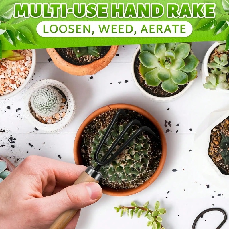3-teiliges Mini-Gartengeräte-S – Indoor Herb Garden Bewertung und Preis