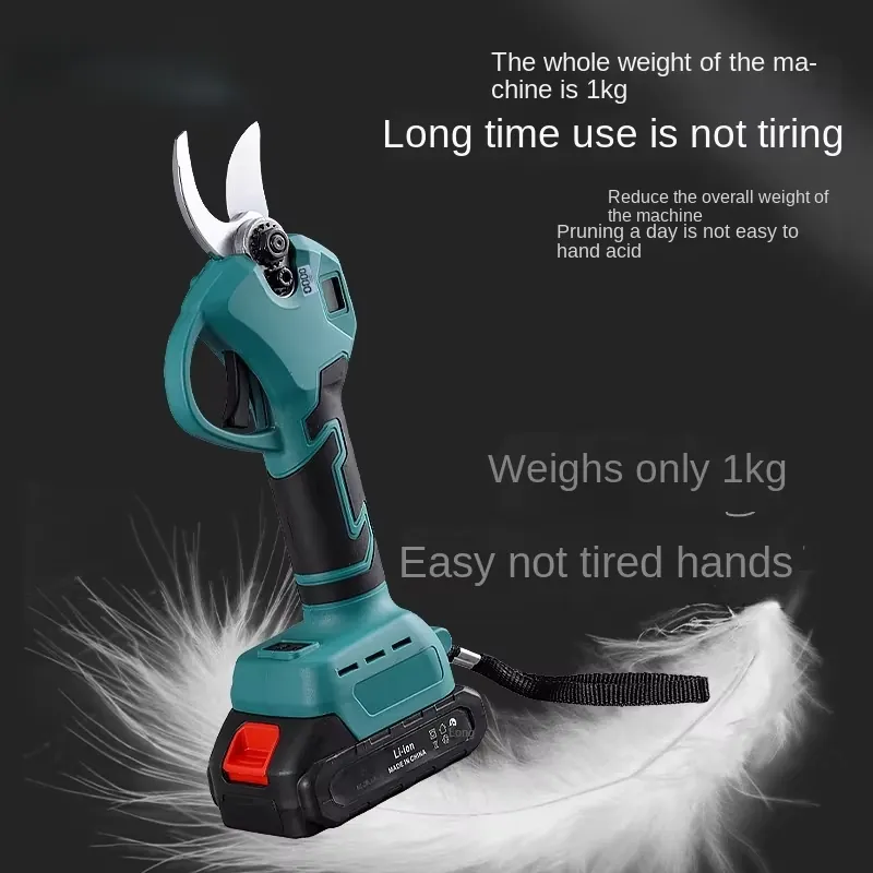 2,5 cm große elektrische Garte – Pruning Shears Bewertung und Preis