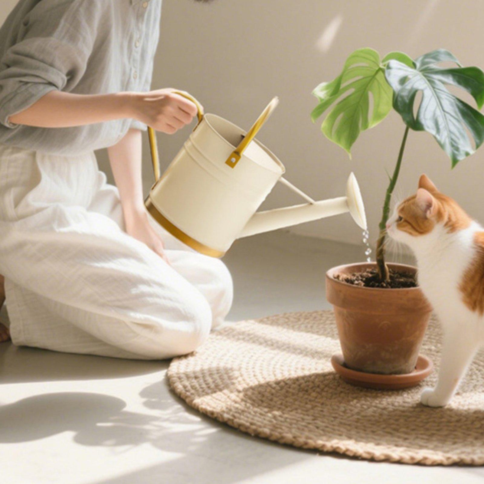 Gießkanne mit langem Ausguss,  – Watering Can Bewertung und Preis