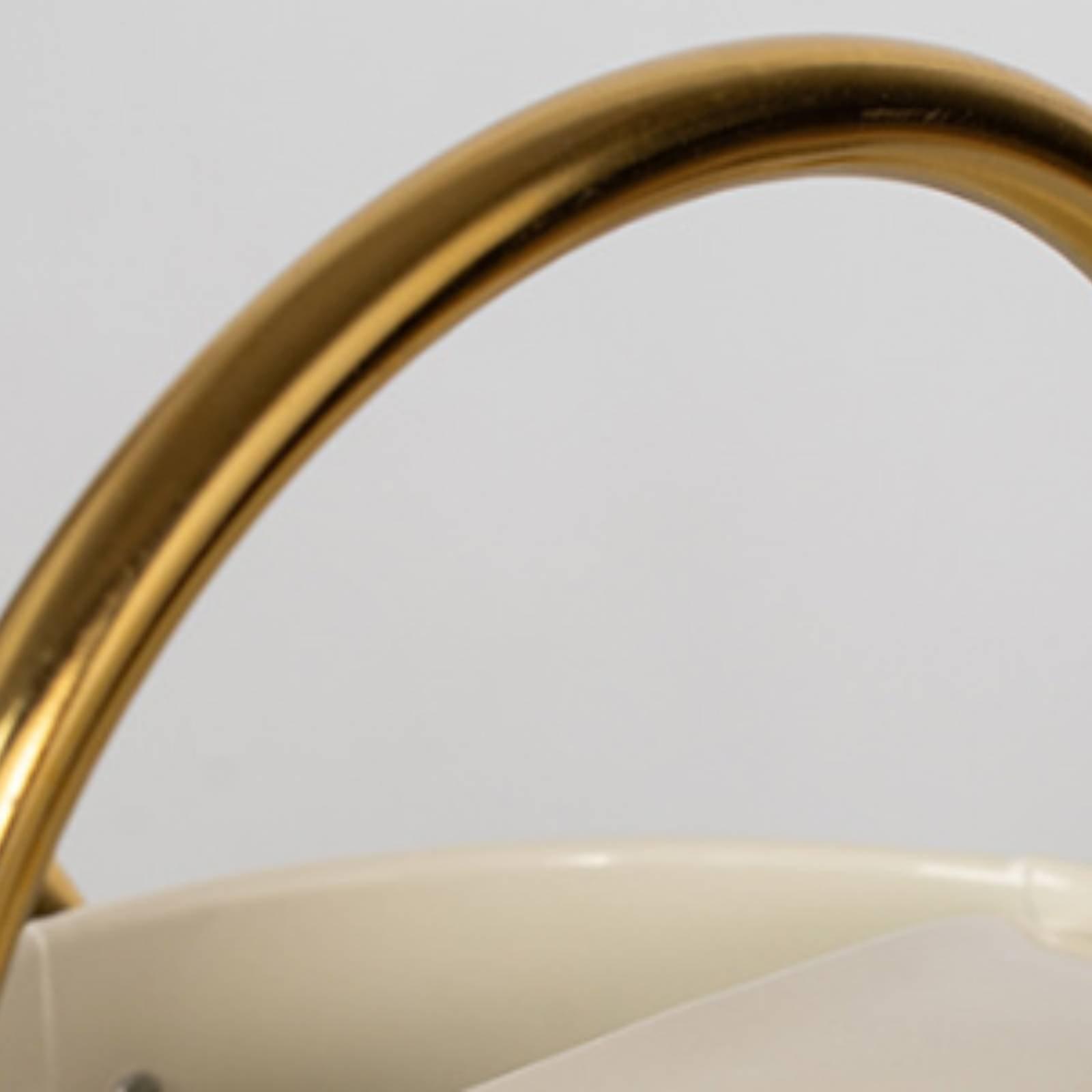 Gießkanne mit langem Ausguss,  – Watering Can Bewertung und Preis