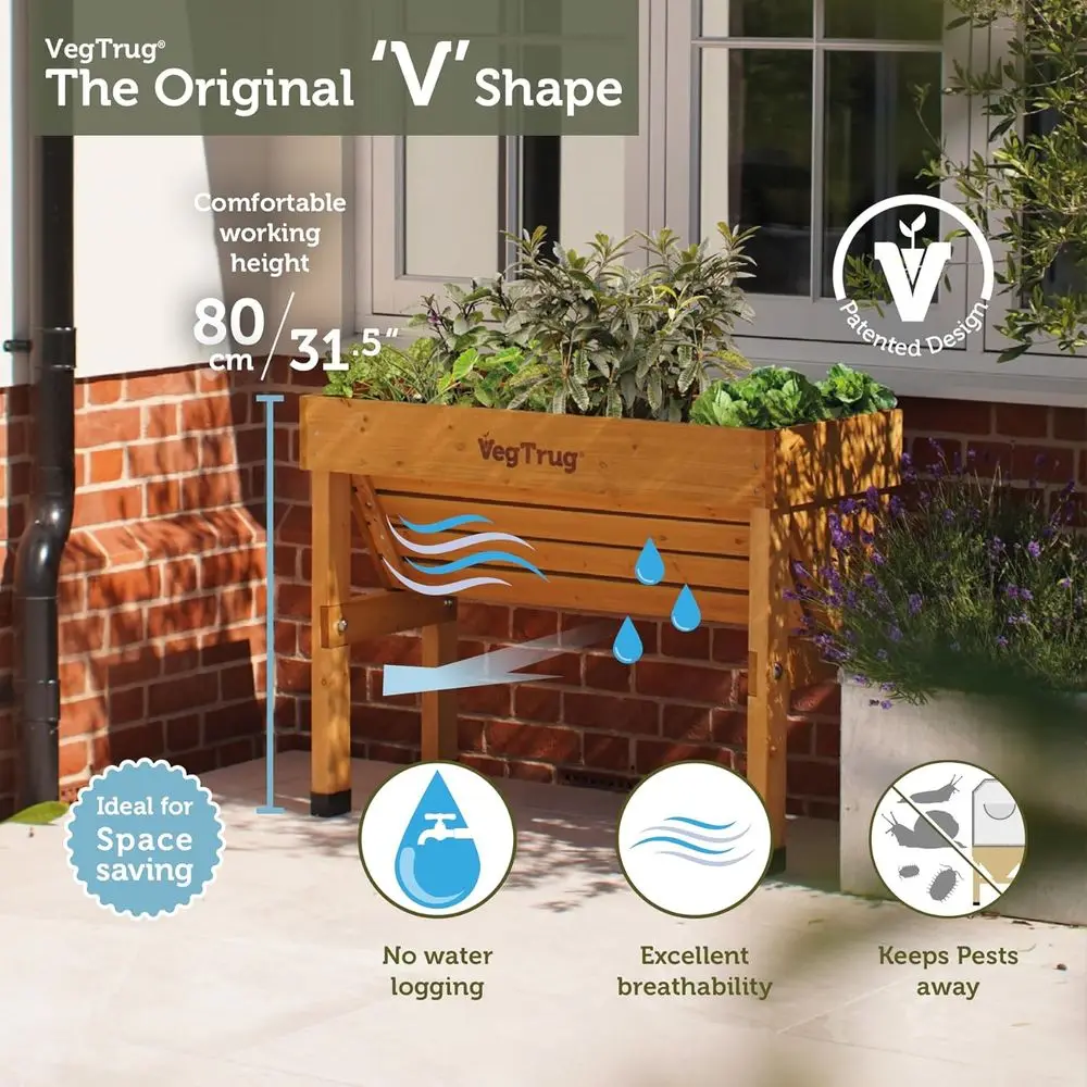 Natürliches Kleines 1m Wandmon – Vertical Planter Bewertung und Preis