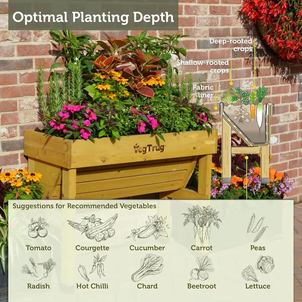 Natürliches Kleines 1m Wandmon – Vertical Planter Bewertung und Preis