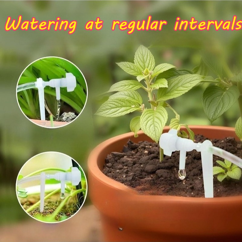 Automatische Bewässerungsanlag – Watering Can Bewertung und Preis