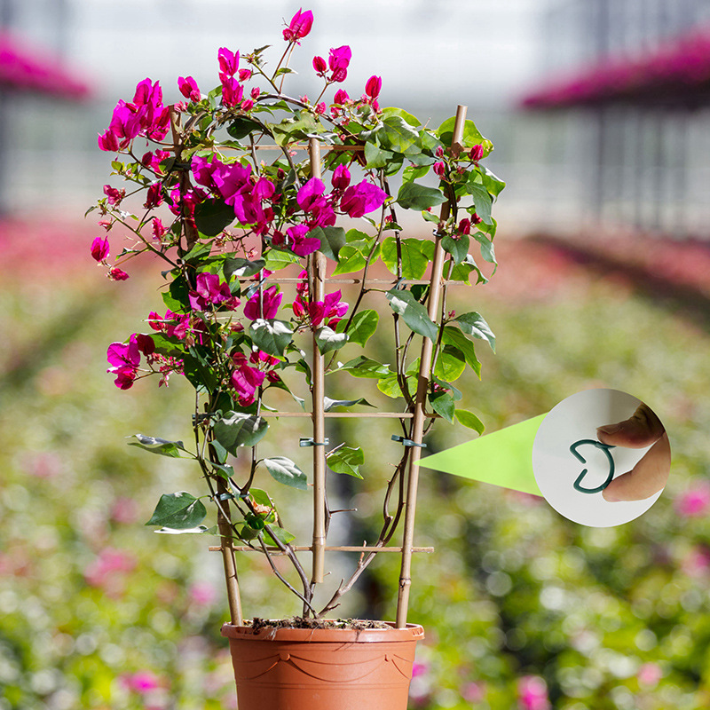 50/100 Stück Gartenpflanzencli – Vertical Planter Bewertung und Preis