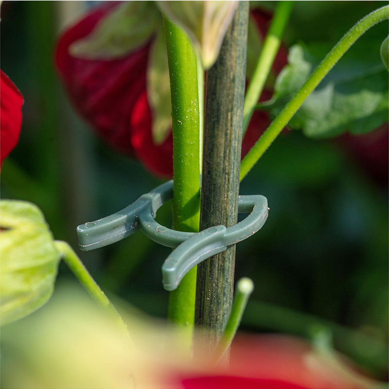 50/100 Stück Gartenpflanzencli – Vertical Planter Bewertung und Preis