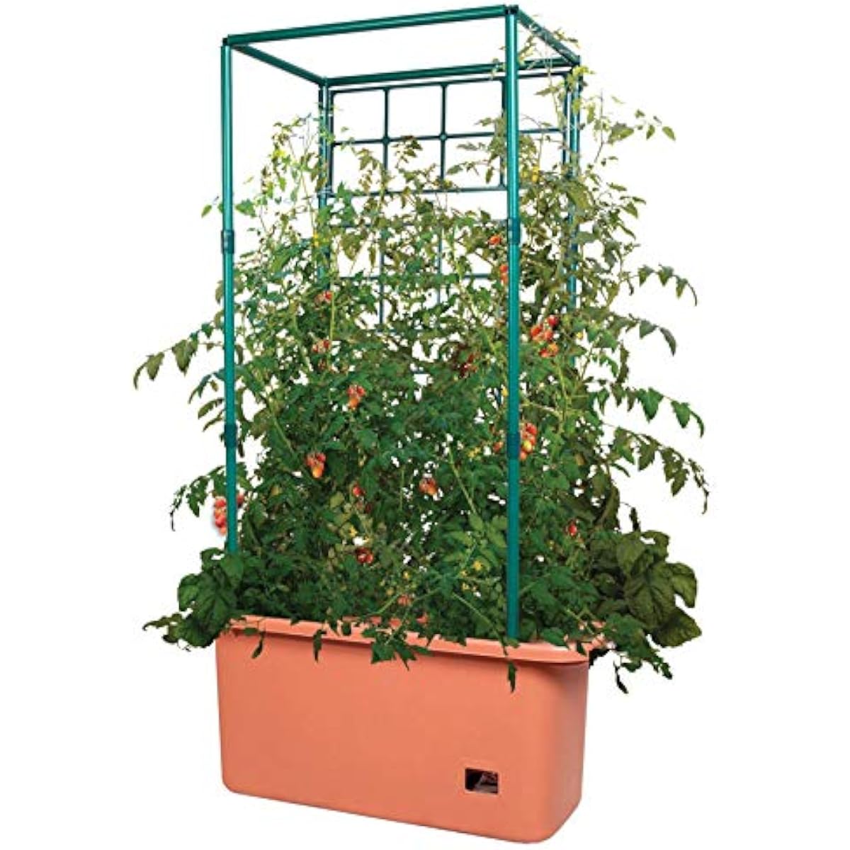 GCTR Tomaten-Anbausystem 10-Ga – Vertical Planter Bewertung und Preis