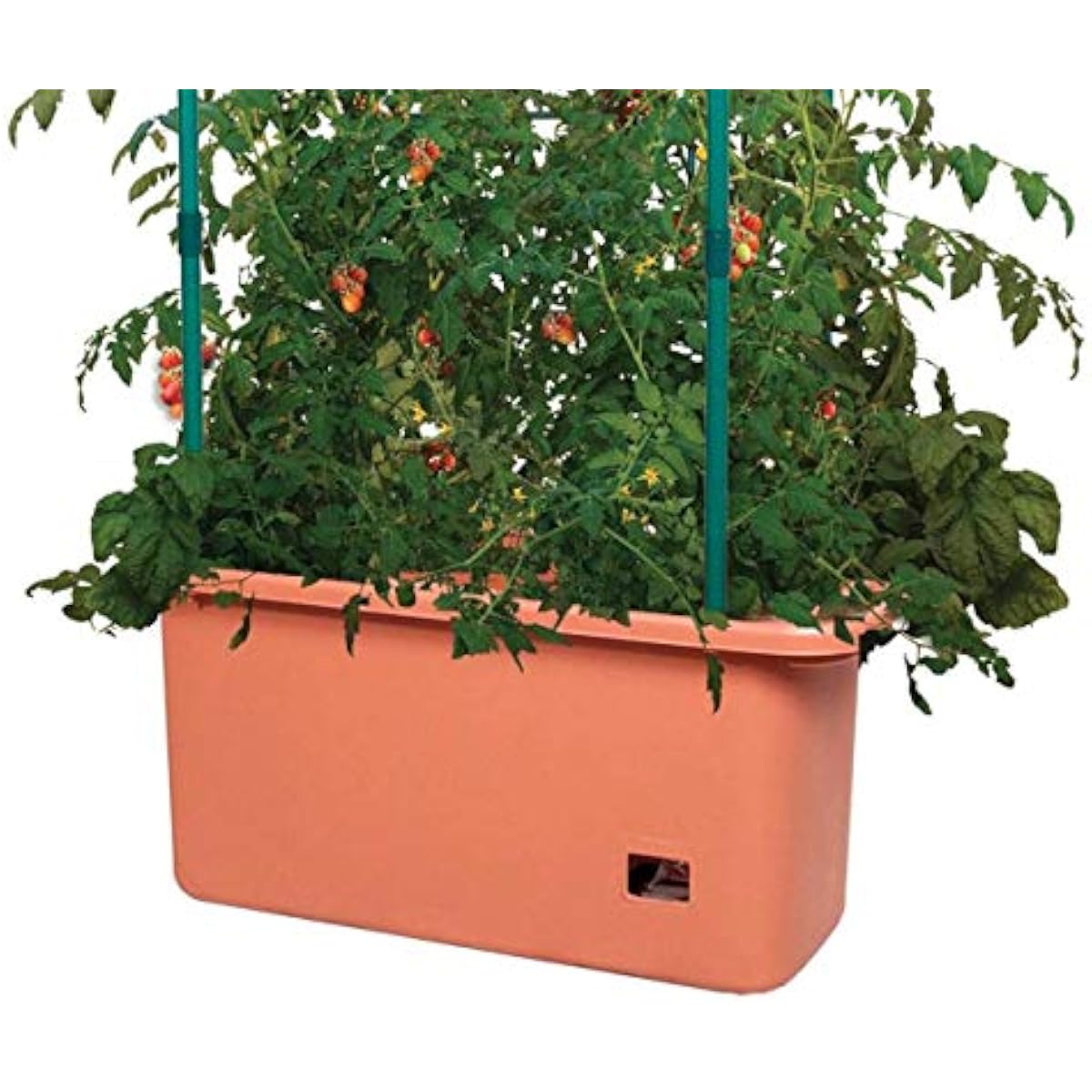GCTR Tomaten-Anbausystem 10-Ga – Vertical Planter Bewertung und Preis