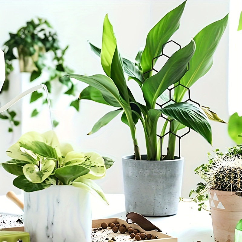 1 Stück Pflanzengestell im Wab – Indoor Herb Garden Bewertung und Preis