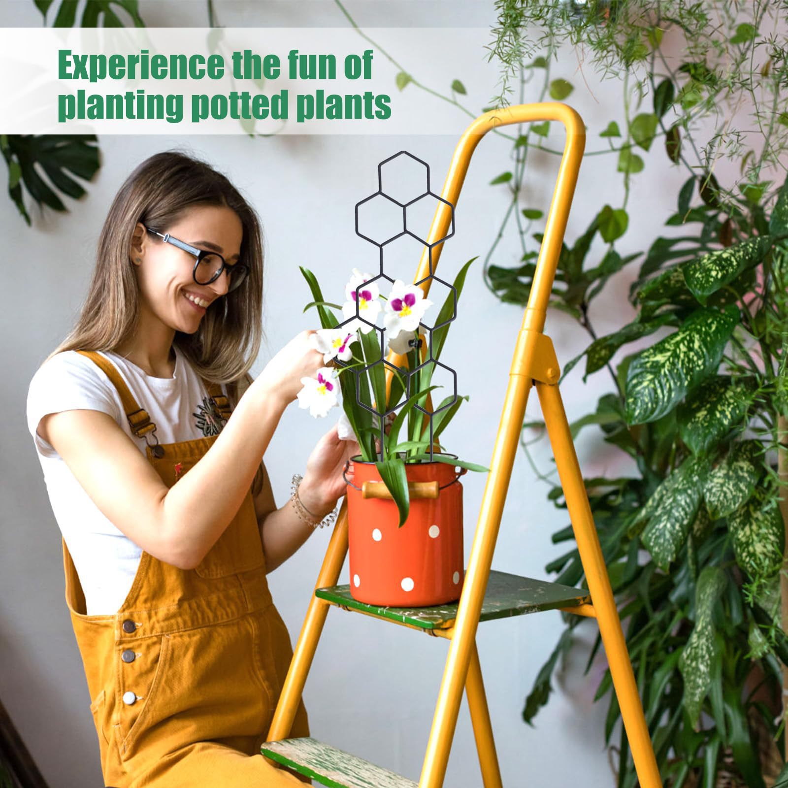 1 Stück Pflanzengestell im Wab – Indoor Herb Garden Bewertung und Preis