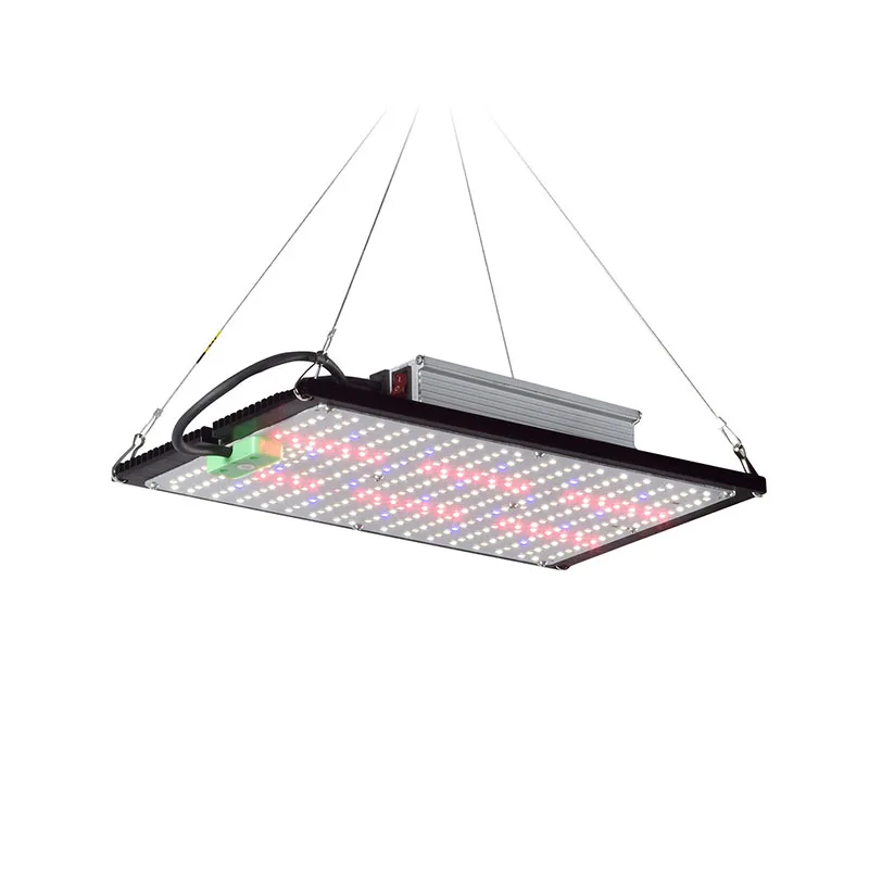 LED-Quantum-Board-Pflanzenlamp – Grow Light Led Bewertung und Preis