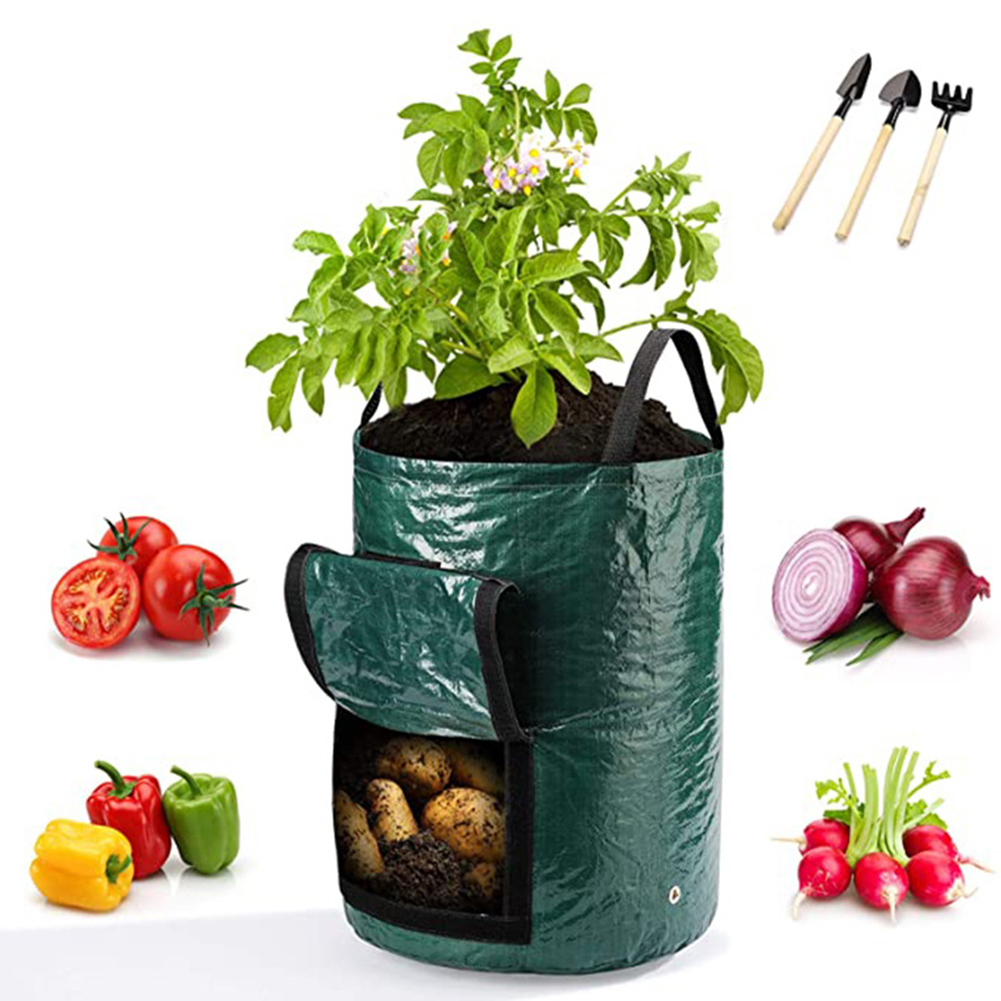 1 Stück 10-Gallonen-Pflanzbeut – Grow Bag Bewertung und Preis